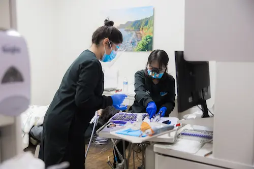 Harmony Family Dental staff using technology on a patient